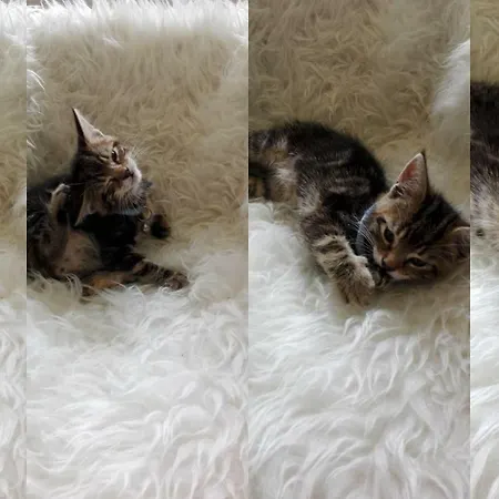 La Malposte Bed and Breakfast