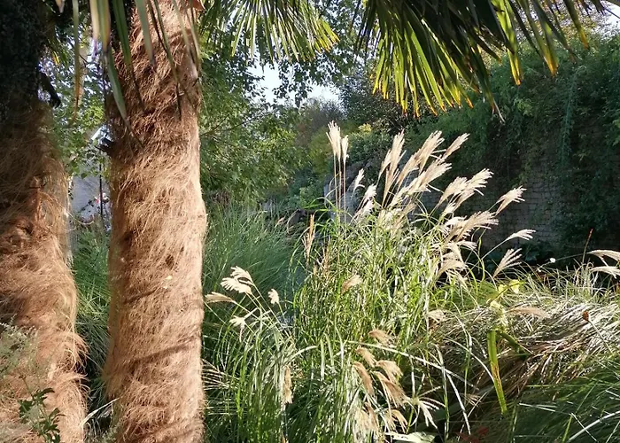 Bed & Breakfast La Malposte Reviers